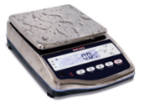Rice Lake Weighing Systems - 108157 | TS 6200 Washdown Balance