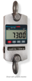 Rice Lake Weighing Systems - 139442 | MSI-7300-2,500 lb Crane Dynamometer with RF