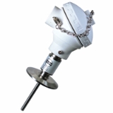 Tel-Tru - SPAA32061001D0100 | Sanitary RTD