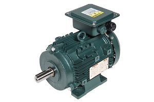 Toshiba Motors EQP Global IEC Low Voltage Motor