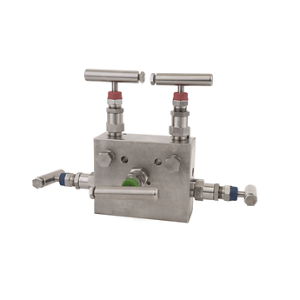 TESCOM AGI Model DPM Differential Pressure Manifold