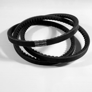 Bestorq - 5VX560 Wedge Cogged V-BELT