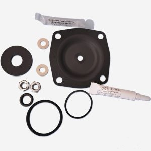 AquaMatic 1070093 - KIT,421,DS,VITON
