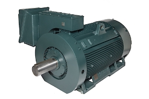 Toshiba Motors TIC Quarry Duty Motor