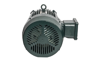 Toshiba Motors EQP Global Explosion Proof