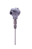 Tel-Tru - SPAA32121001D0300 | Sanitary RTD